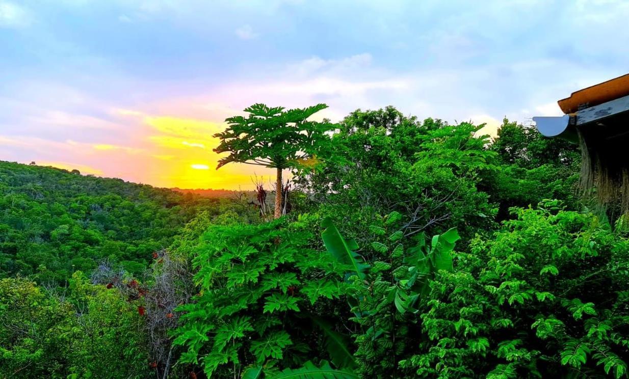 Villas Do Pratagy Bromelia Масейо Екстер'єр фото